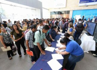 Denuncian que estafadores ofrecen plazas de trabajo en el INE
