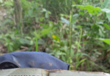 Equipos de socorro y de las FFAA recuperan en Guanijiquil, Danlí, el cuerpo de migrante desaparecido