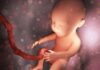 Los bebés reaccionan al gusto y al olor desde el útero, señala un estudio