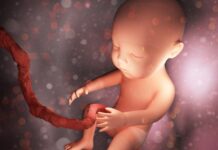 Los bebés reaccionan al gusto y al olor desde el útero, señala un estudio