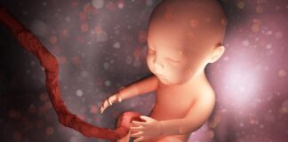 Los bebés reaccionan al gusto y al olor desde el útero, señala un estudio