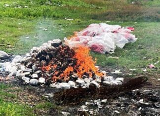 Fuerzas Armadas incineran 61 paquetes de marihuana decomisados en Choluteca