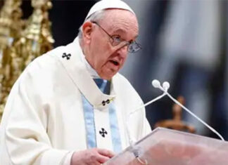 El papa Francisco: «Hay que cuestionar el modelo de desarrollo» porque «la tierra arde»