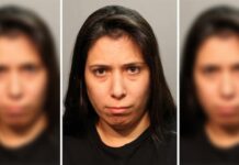 Arrestan a una mujer acusada de empujar a sobrino de 3 años al Lago Michigan