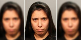 Arrestan a una mujer acusada de empujar a sobrino de 3 años al Lago Michigan