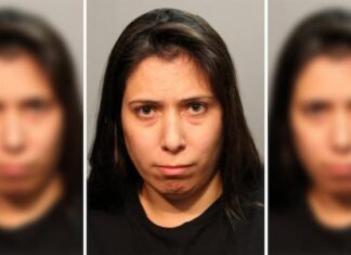 Arrestan a una mujer acusada de empujar a sobrino de 3 años al Lago Michigan