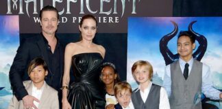 Angelina Jolie acusa a Brad Pitt de «asfixiar» a su hijo en un avión en 2016