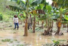 Alrededor de 24 comunidades continúan bajo el agua en la zona norte del país