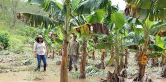 Alrededor de 24 comunidades continúan bajo el agua en la zona norte del país