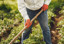 Según la FAO, Latinoamérica necesita fortalecer la acción climática en la agricultura