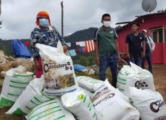 El Gobierno a través de la SAG oficializa la entrega de más de 216 mil quintales del Bono cafetalero
