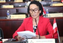 Exdiputada liberal Edinora Brooks, propone que el uso de la mascarilla sea opcional