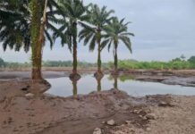 El Progreso se declara en alerta máxima por amenaza de tormenta Julia