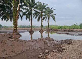 El Progreso se declara en alerta máxima por amenaza de tormenta Julia