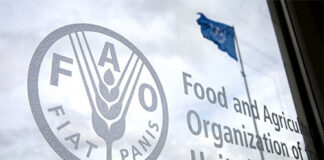 Presidenta Castro y líderes de otros países, participarán en la inauguración del Foro Mundial de la FAO