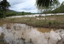 Las pérdidas por lluvias en el sector agrícola ascienden a L. 1,500 millones, según reporte del INA
