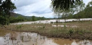Las pérdidas por lluvias en el sector agrícola ascienden a L. 1,500 millones, según reporte del INA