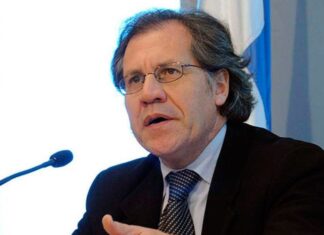 Luis Almagro enfrenta investigación en la OEA por presunto romance con una subordinada