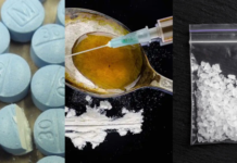 Incautan más de 23 kilogramos de fentanilo, lo suficiente para matar a la mitad de la población de Florida