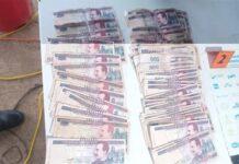 Decomisan municiones, dinero y vehículos en operación antidrogas en Colón