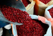 Honduras tendrá que importar granos básicos y el precio será alto, advierten productores