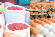 No existe justificación para incremento de precios al frijol rojo y huevos, señala SDE y amenaza con sanciones