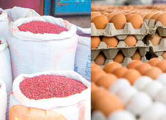 No existe justificación para incremento de precios al frijol rojo y huevos, señala SDE y amenaza con sanciones