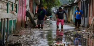Reportan al menos 146 casos sospechosos de leptospirosis en Honduras
