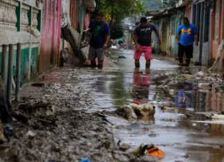 Reportan al menos 146 casos sospechosos de leptospirosis en Honduras
