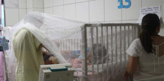 Reportan 11 menores ingresados con dengue en el Hospital Escuela