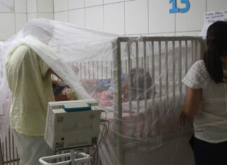 Reportan 11 menores ingresados con dengue en el Hospital Escuela