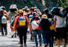 Guatemala expulsó a 13,284 migrantes en 9 meses de 2022, un 76 % venezolanos y 5 % hondureños