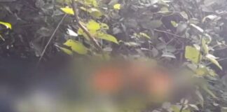 Un venezolano resultó muerto y otro herido tras un intento de asalto en el sur de Honduras