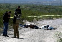Hallan muertos a seis presuntos traficantes de migrantes en Ciudad Juárez