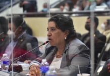 La agenda legislativa está a la medida del gobernante y no de las necesidades del pueblo, denuncia la diputada Suyapa Figueroa