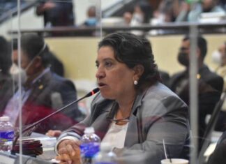 La agenda legislativa está a la medida del gobernante y no de las necesidades del pueblo, denuncia la diputada Suyapa Figueroa