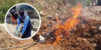 Ministerio Público coordina incineración de 215 libras de marihuana incautada en tres operaciones