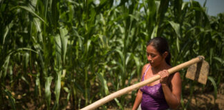 Mujeres, las más afectadas por crisis climática en Corredor Seco de A.Central