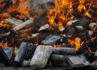 Autoridades destruyen más de media tonelada de cocaína incautada