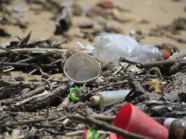 La contaminación por microplásticos amenaza las lagunas costeras del planeta