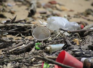 La contaminación por microplásticos amenaza las lagunas costeras del planeta