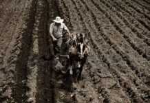 El SELA apuesta por la integración para superar la vulnerabilidad alimentaria