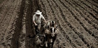 El SELA apuesta por la integración para superar la vulnerabilidad alimentaria