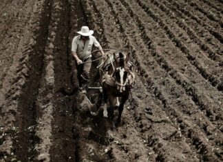 El SELA apuesta por la integración para superar la vulnerabilidad alimentaria