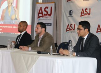 Según la ASJ, el Congreso Nacional ha pretendido injerir en el trabajo que realiza la Junta Nominadora