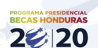 Gobierno denuncia “serias irregularidades” en el programa de Becas 20/20