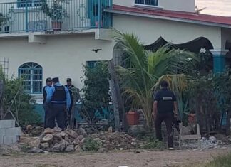 Suman más de 200 las personas detenidas en el marco de la Operación Némesis XI