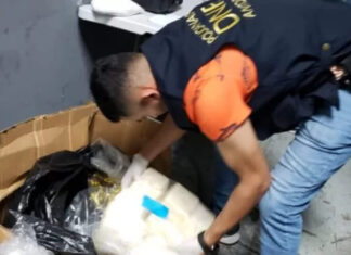 Policía incauta droga que sería enviada a EE. UU. desde terminal aérea de SPS