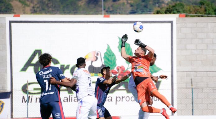 Este sábado se disputará la última jornada de las vueltas regulares en la Liga Nacional