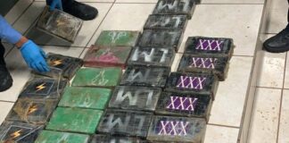 Condenan a hondureño por tráfico de 225 kilos de cocaína